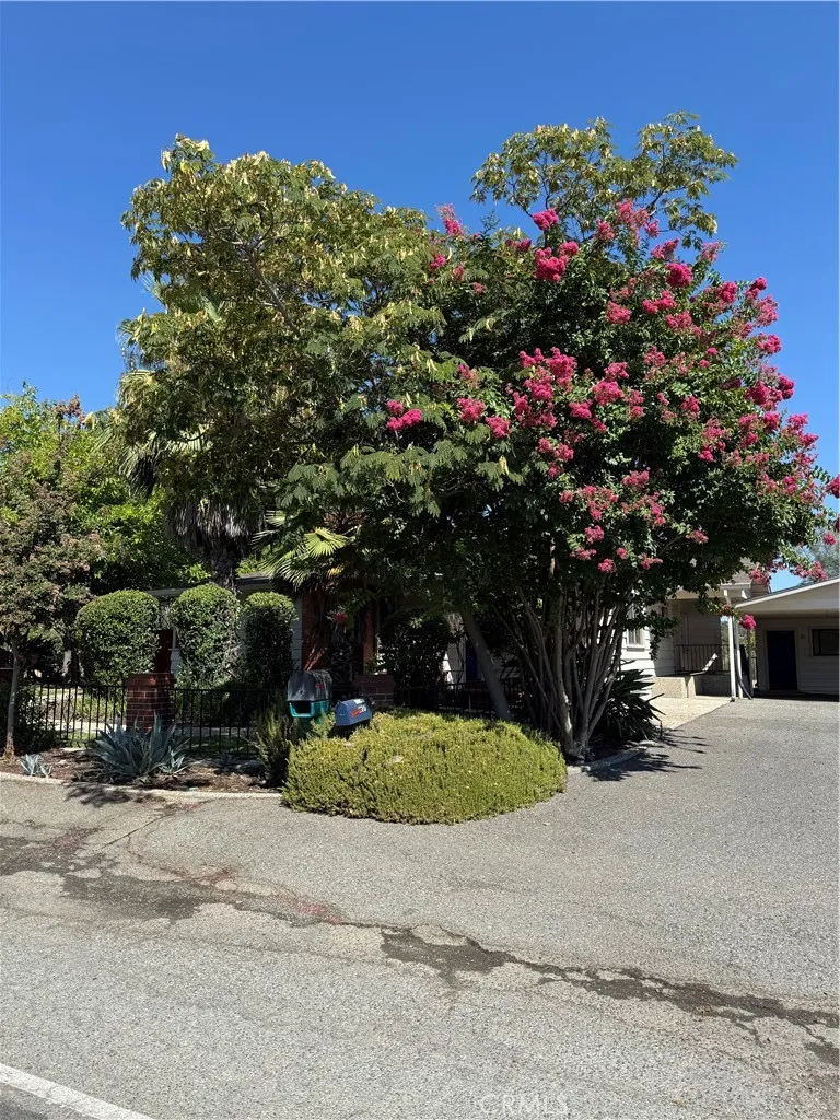 2537 Oro Quincy Highway Oroville, CA 95966