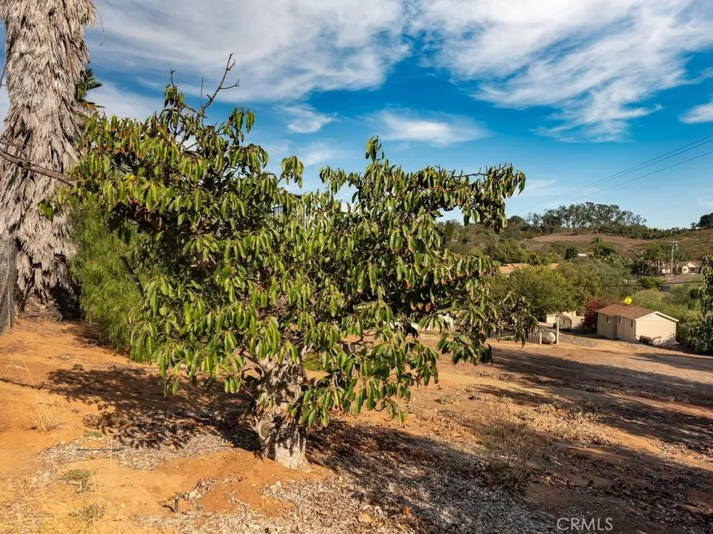 9430 W Lilac Escondido, CA 92026