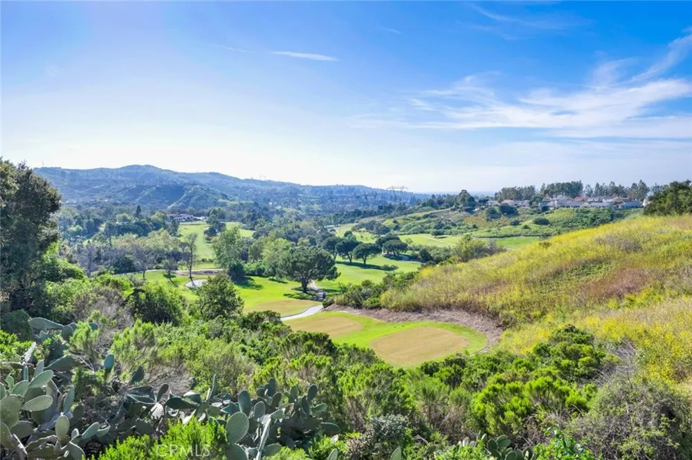 461 S Paseo Estrella Anaheim Hills, CA 92807