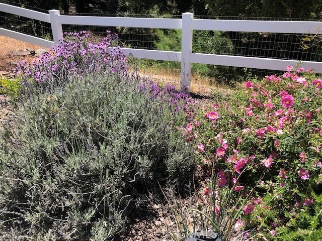 33501 Hidden Hollow Wildomar, CA 92595
