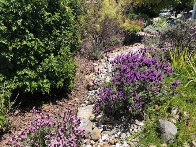 33501 Hidden Hollow Wildomar, CA 92595