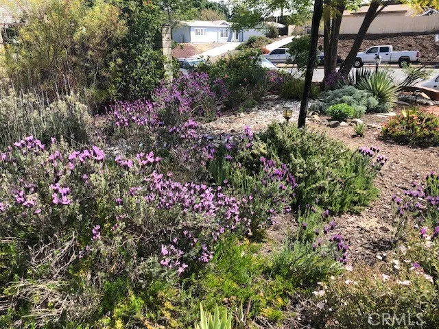 33501 Hidden Hollow Wildomar, CA 92595