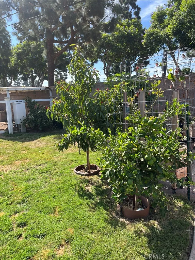 62 E Calle La Sombra Camarillo, CA 93010