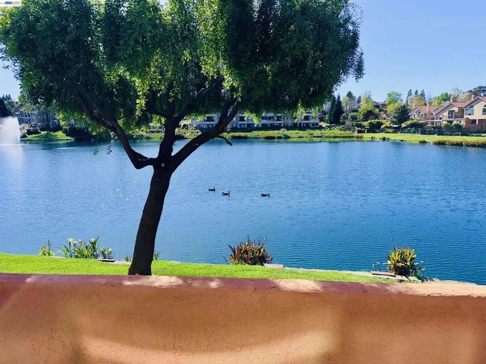4063 W Lakeshore Dr San Ramon, CA 94582