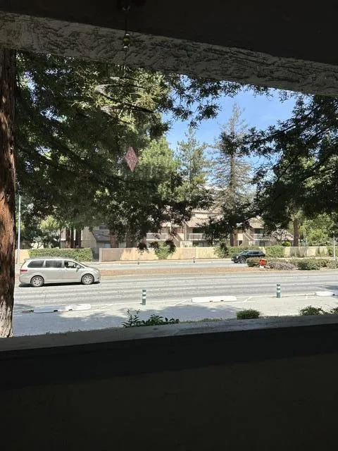 39951 Fremont Boulevard #120 Fremont, CA 94538