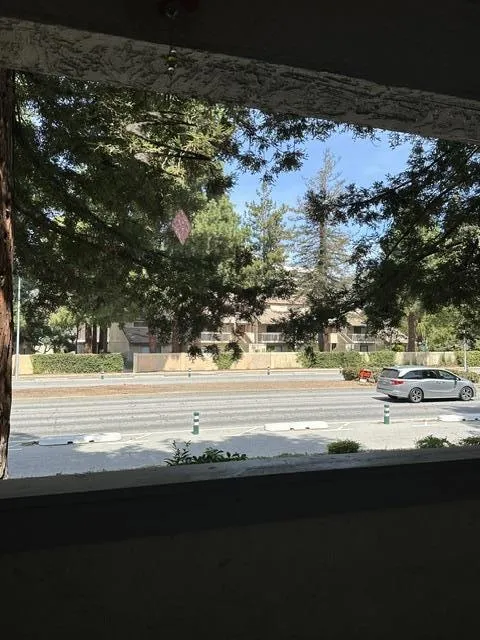 39951 Fremont Boulevard #120 Fremont, CA 94538
