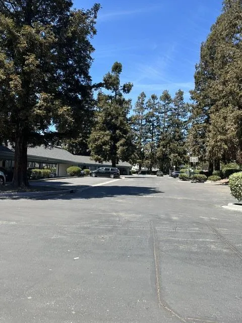 46666 Winema Fremont, CA 94539