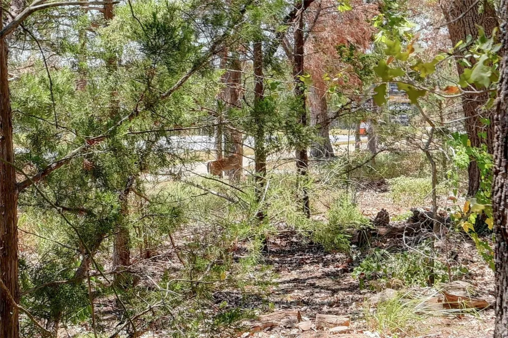 140 Kellogg Lane Bastrop, TX 78602