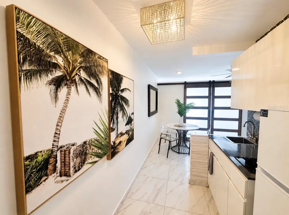 ESJ Tower AVE ISLA VERDE #155 Carolina, PR 00979