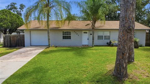 3307 PINE TREE DRIVE