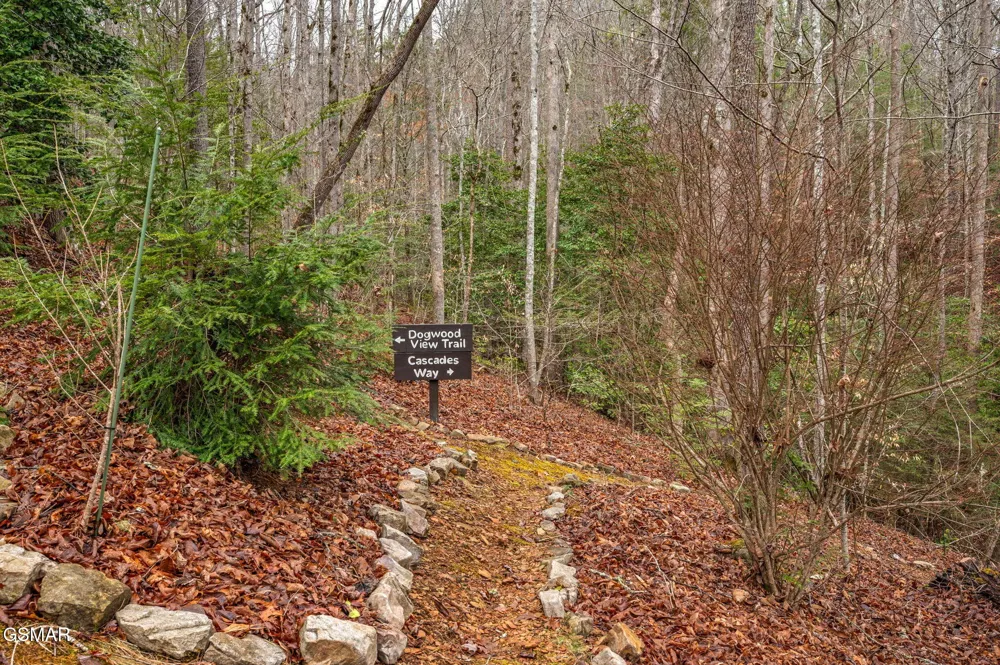 1903 Waters End Road Walland, TN 37886