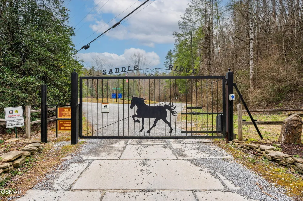 1903 Waters End Road Walland, TN 37886