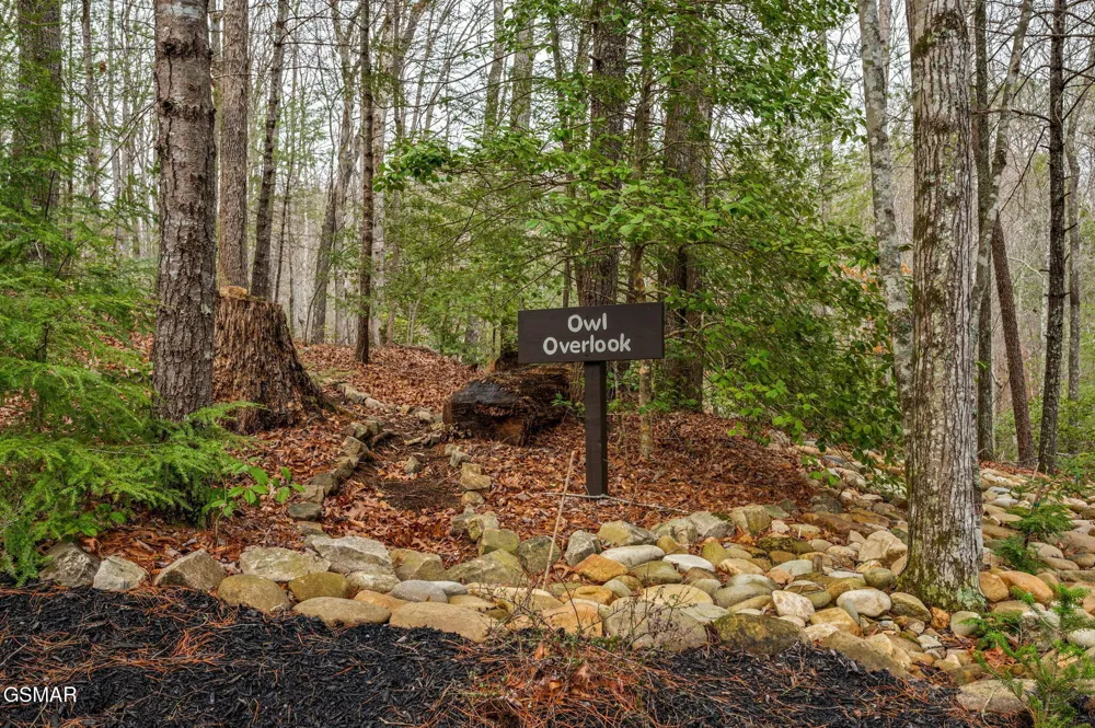 1903 Waters End Road Walland, TN 37886
