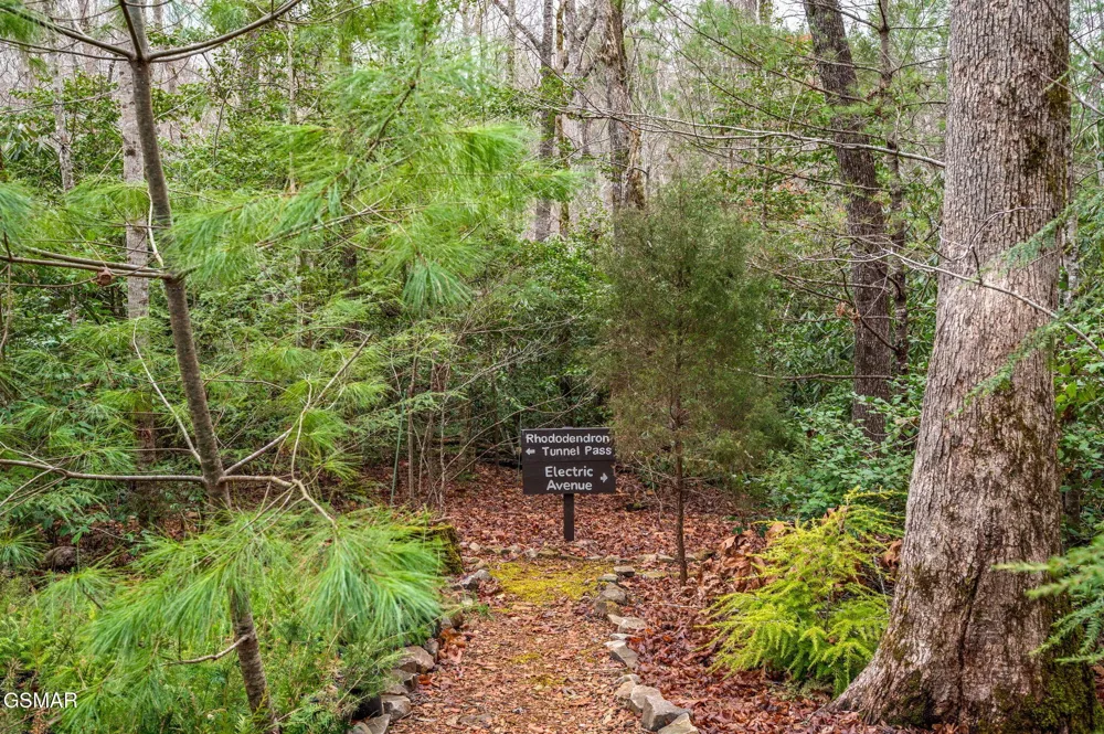 1903 Waters End Road Walland, TN 37886