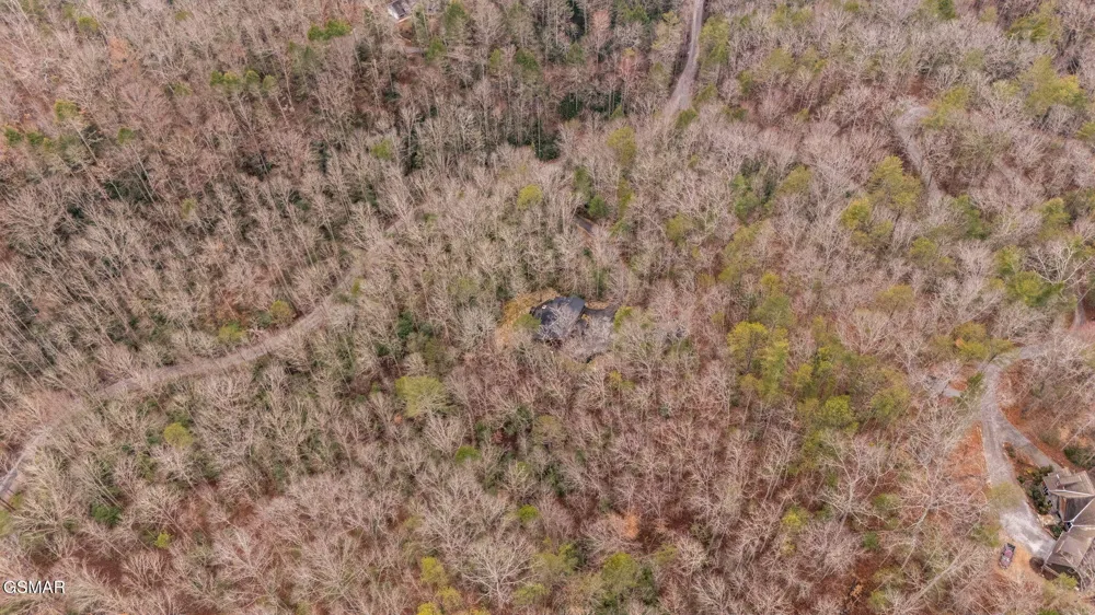 1903 Waters End Road Walland, TN 37886