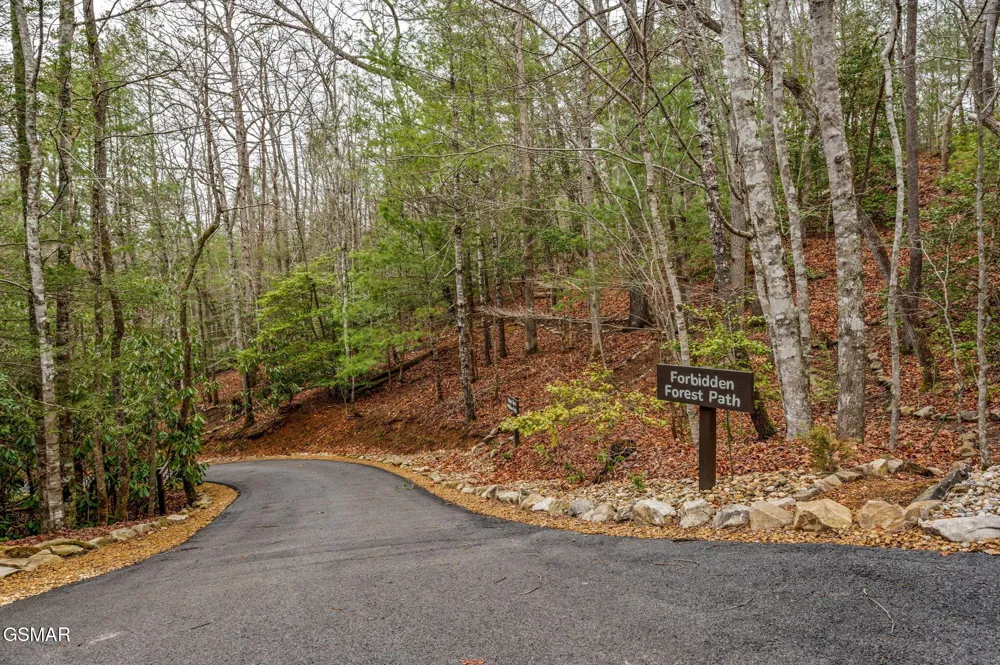 1903 Waters End Road Walland, TN 37886