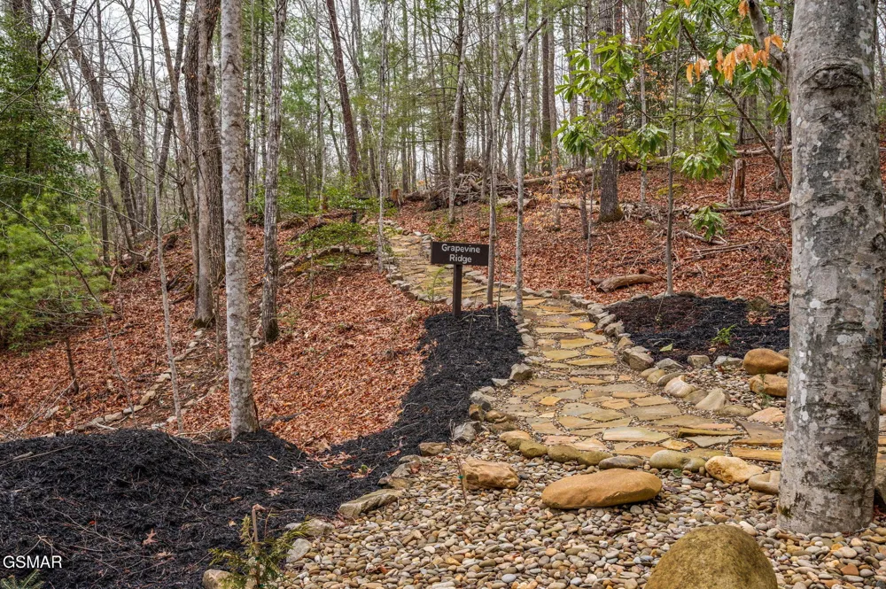 1903 Waters End Road Walland, TN 37886