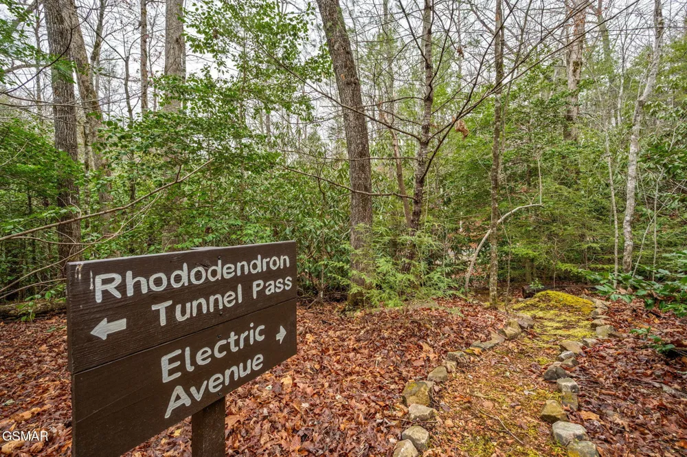 1903 Waters End Road Walland, TN 37886