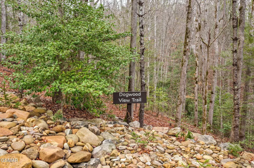 1903 Waters End Road Walland, TN 37886