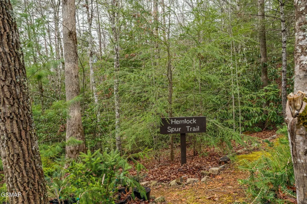 1903 Waters End Road Walland, TN 37886