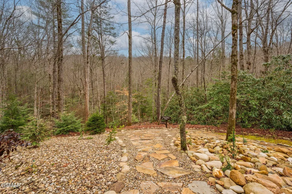 1903 Waters End Road Walland, TN 37886