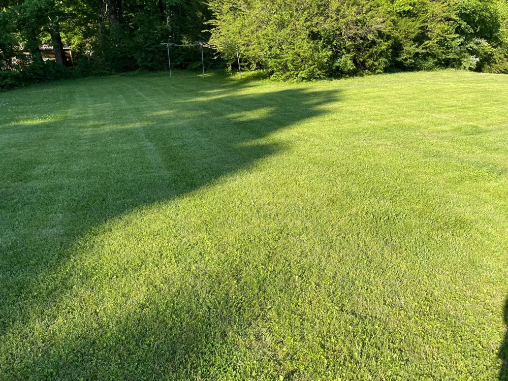 828 Mulberry Dr Columbia, TN 38401