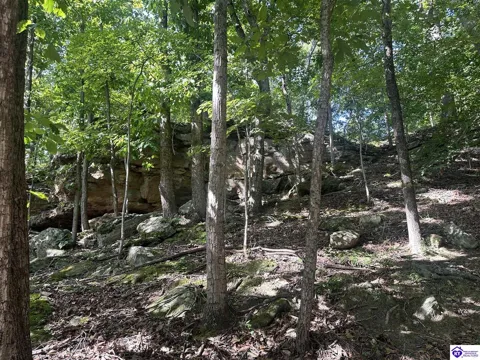25210 SW Sonora Hardin Springs Road
