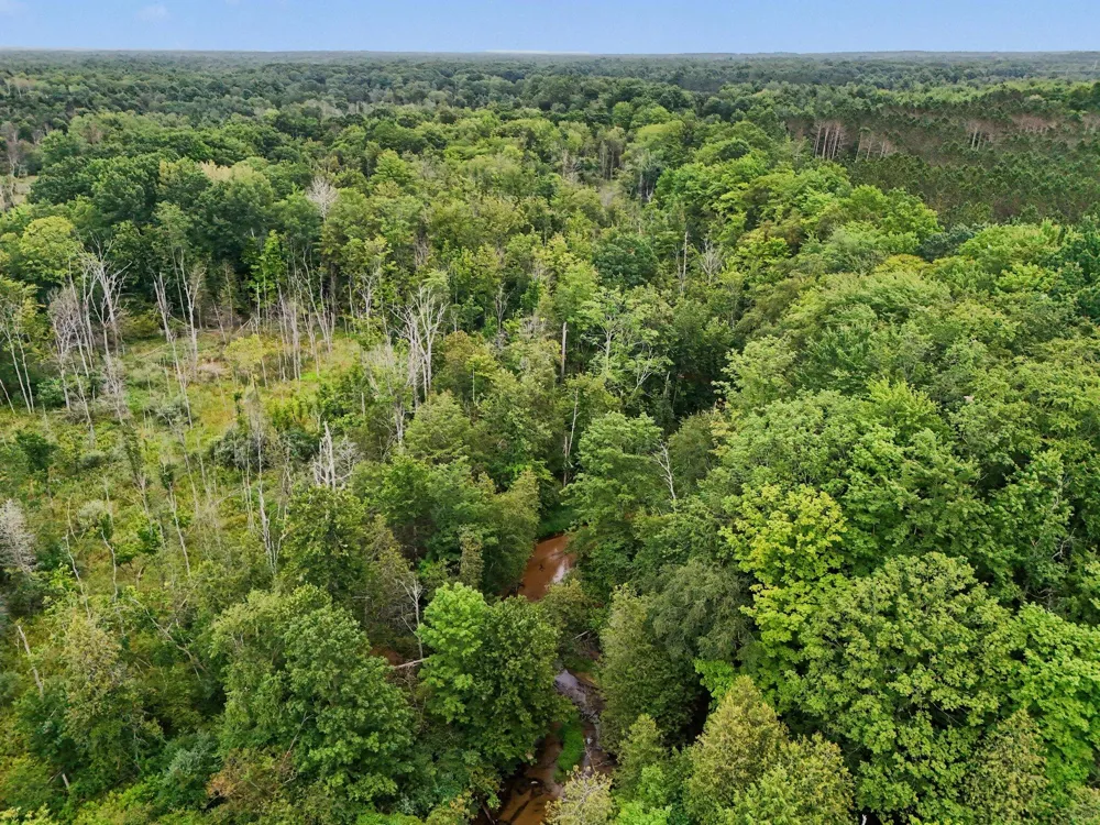 4079 Stiles Road Scottville, MI 49454