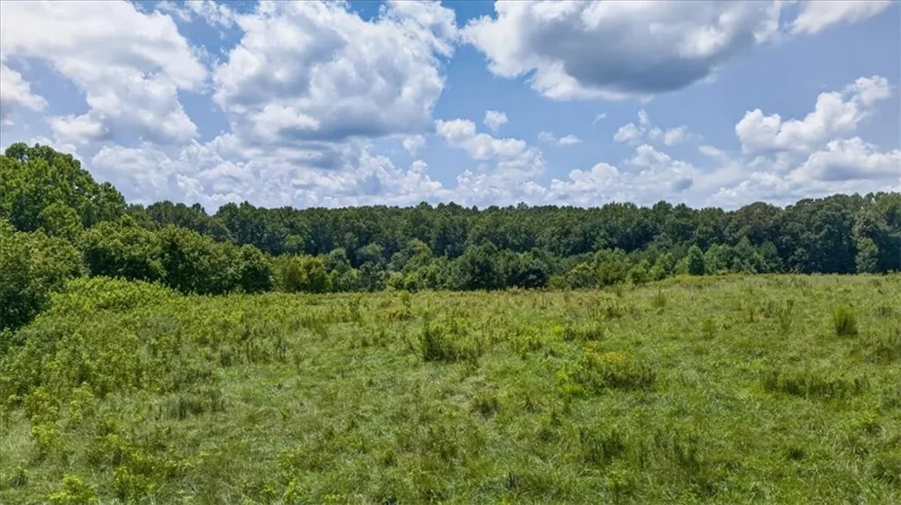 2627 Jones Mountain Road Talking Rock, GA 30175