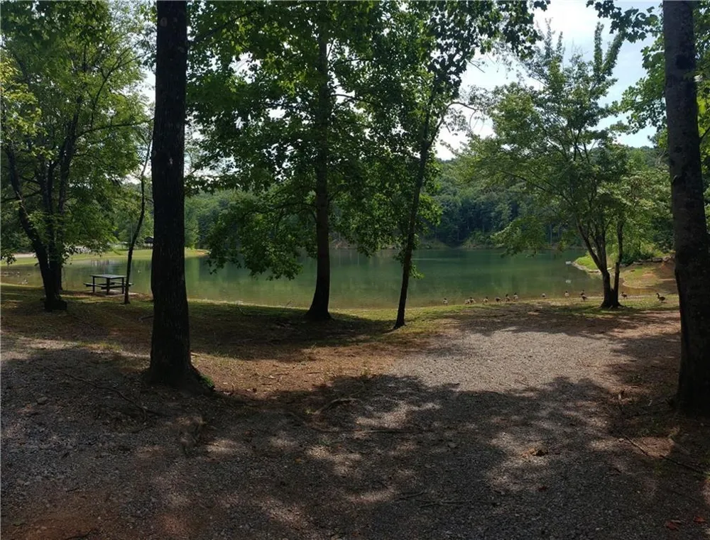 686 Anderson Lane NE Ranger, GA 30734
