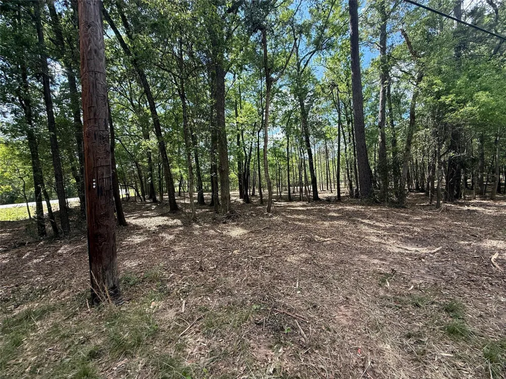 Daniel Street Magnolia, TX 77354