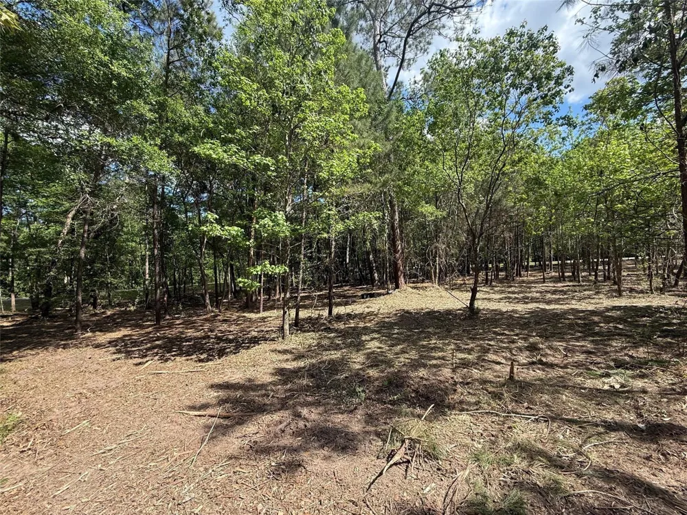 Daniel Street Magnolia, TX 77354