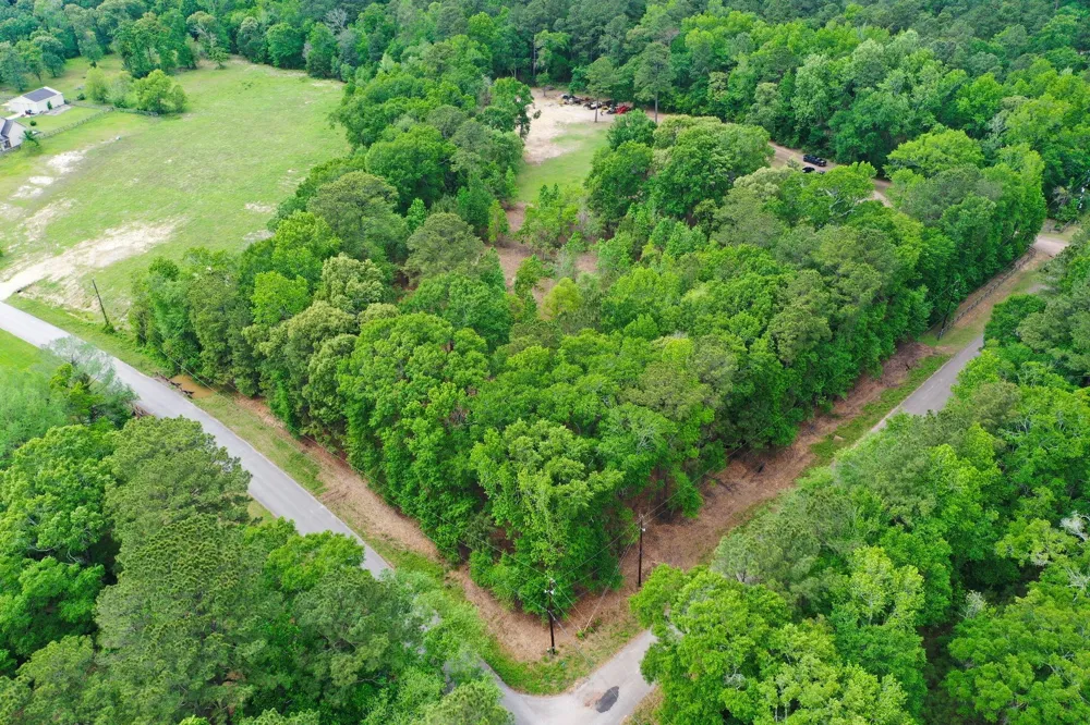 Daniel Street Magnolia, TX 77354