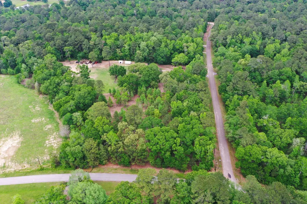 Daniel Street Magnolia, TX 77354