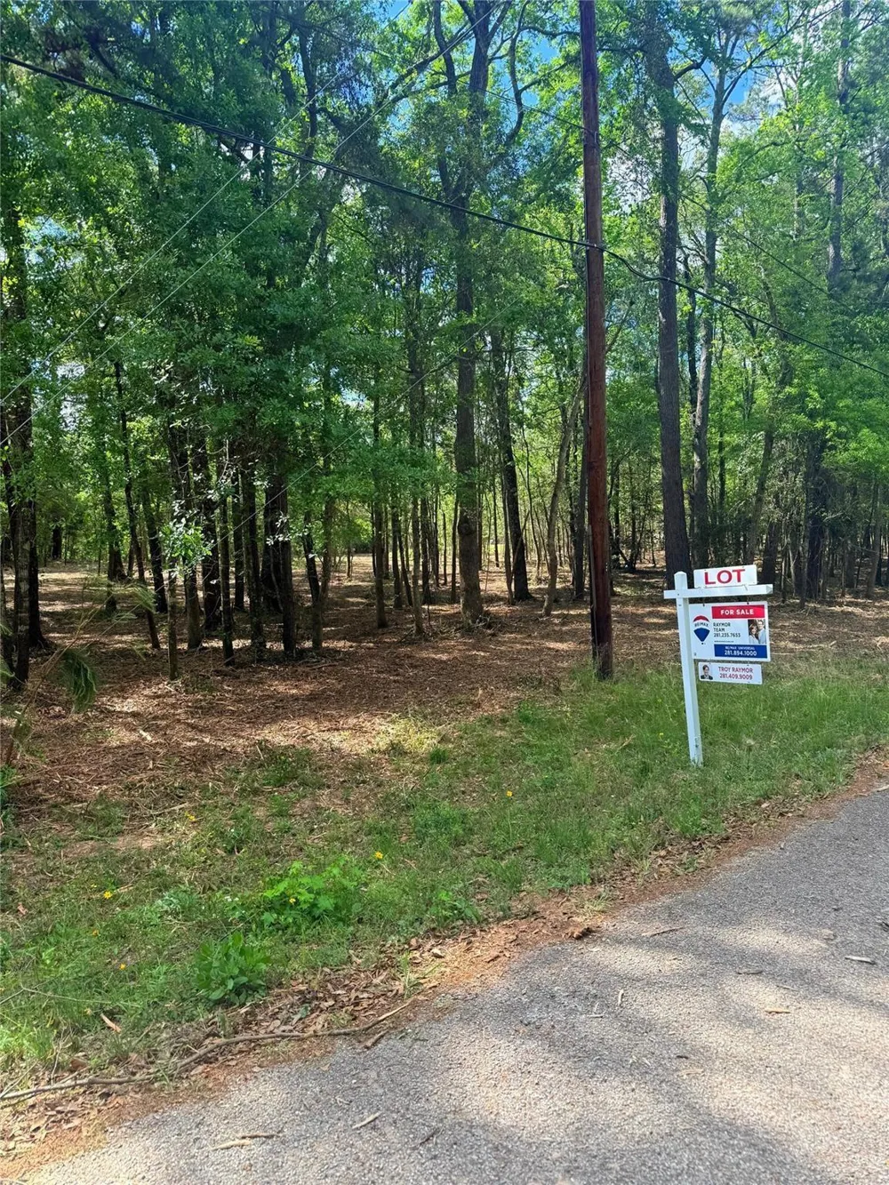 Daniel Street Magnolia, TX 77354