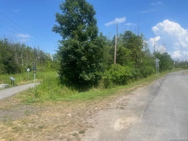 Pulcher Hudson, NY 12534