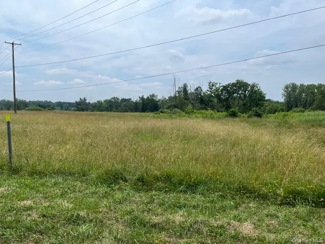 Pulcher Avenue Hudson, NY 11944