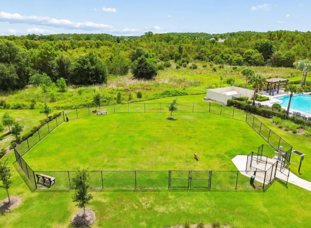 17258 ASHE JUNIPER LANE Land O Lakes, FL 34638
