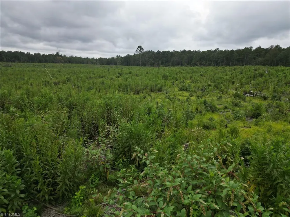 3950 Shiptontown Road Lexington, NC 27292