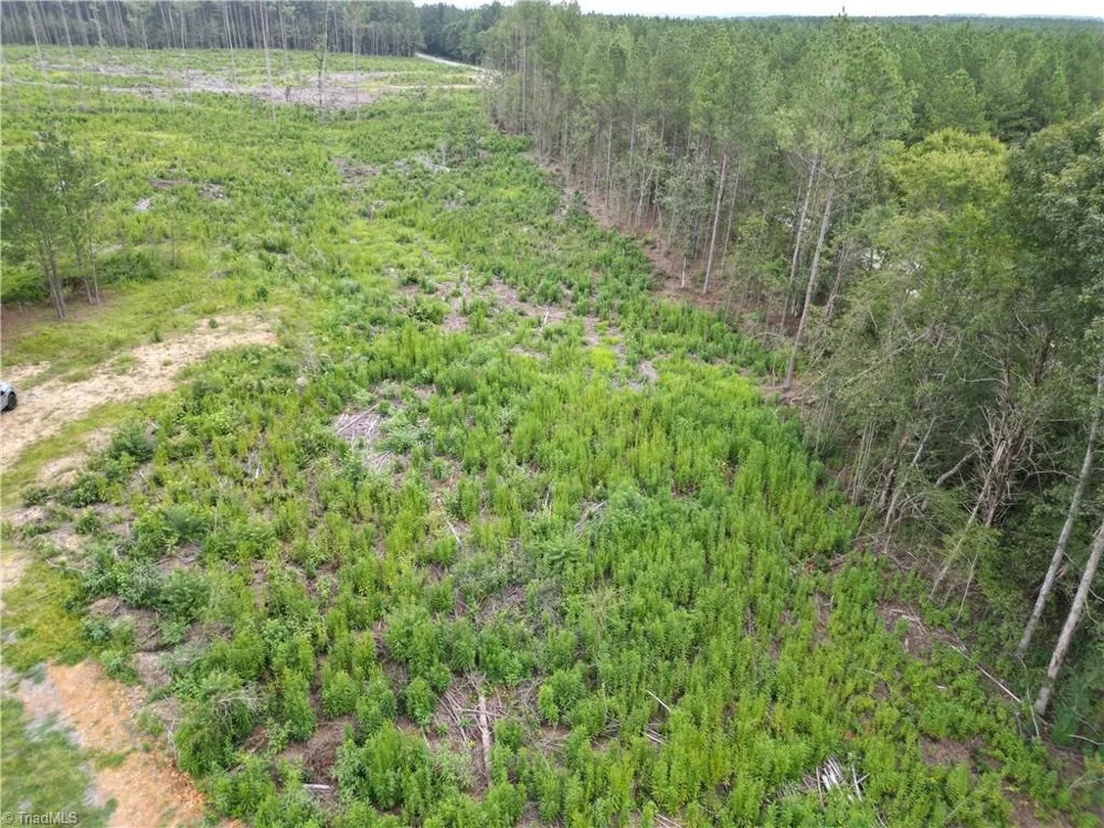 3950 Shiptontown Road Lexington, NC 27292