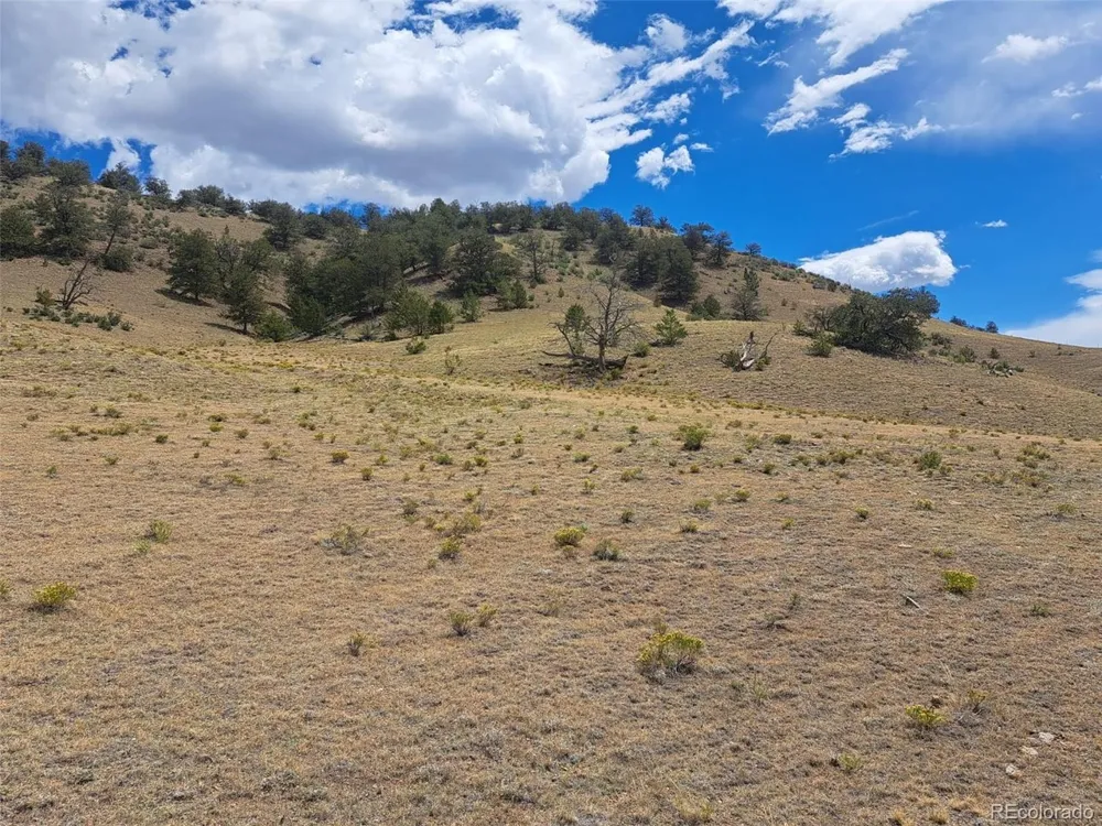 2994 Vista Grande Court Como, CO 80432