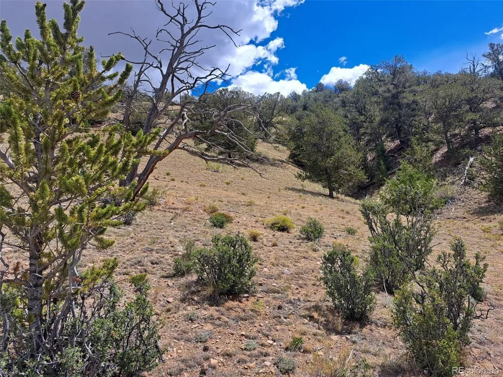 2994 Vista Grande Court Como, CO 80432