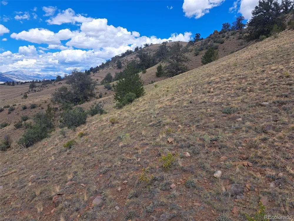 2994 Vista Grande Court Como, CO 80432
