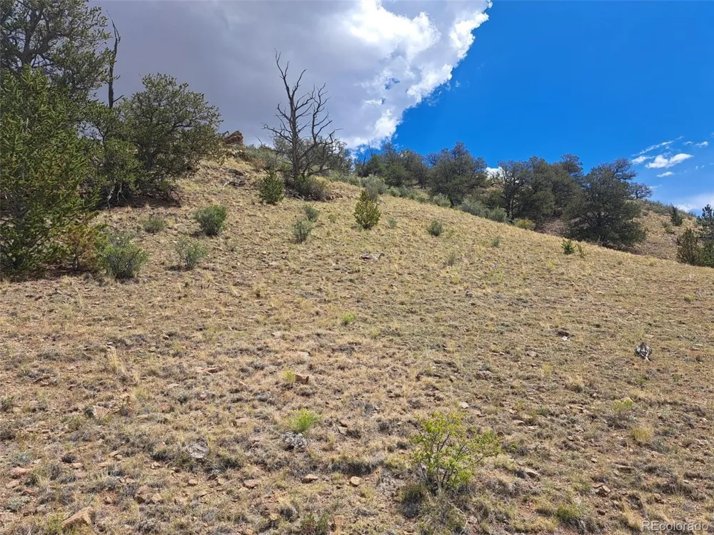 2994 Vista Grande Court Como, CO 80432