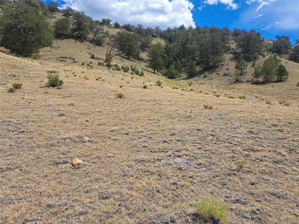 2994 Vista Grande Court Como, CO 80432