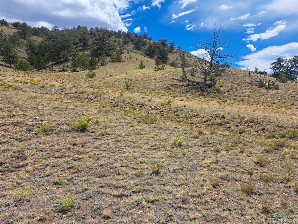 2994 Vista Grande Court Como, CO 80432