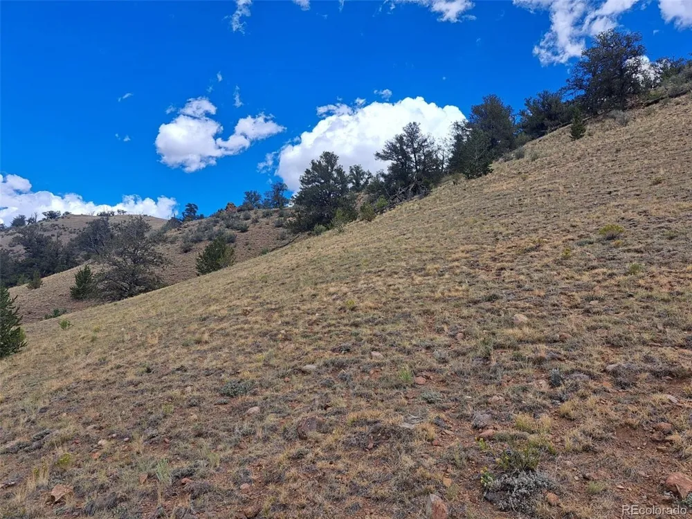 2994 Vista Grande Court Como, CO 80432