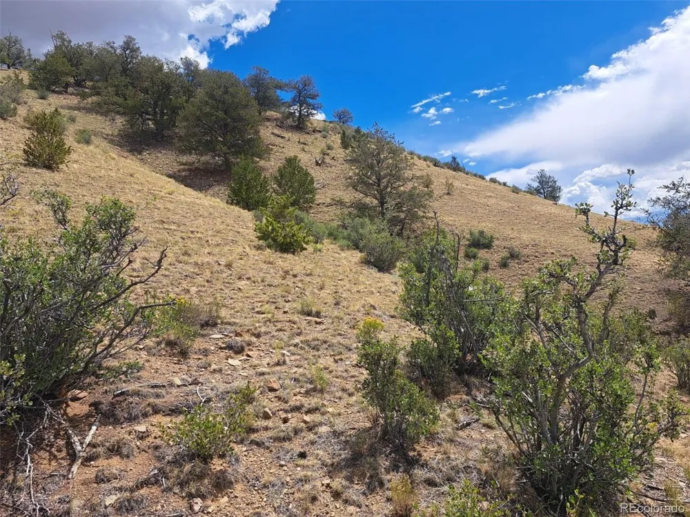 2994 Vista Grande Court Como, CO 80432