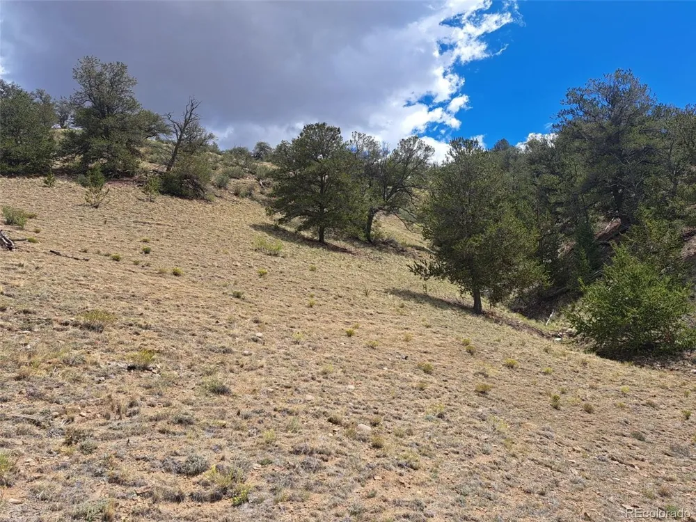 2994 Vista Grande Court Como, CO 80432