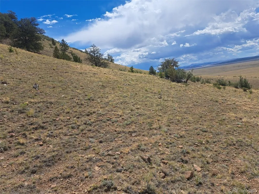 2994 Vista Grande Court Como, CO 80432